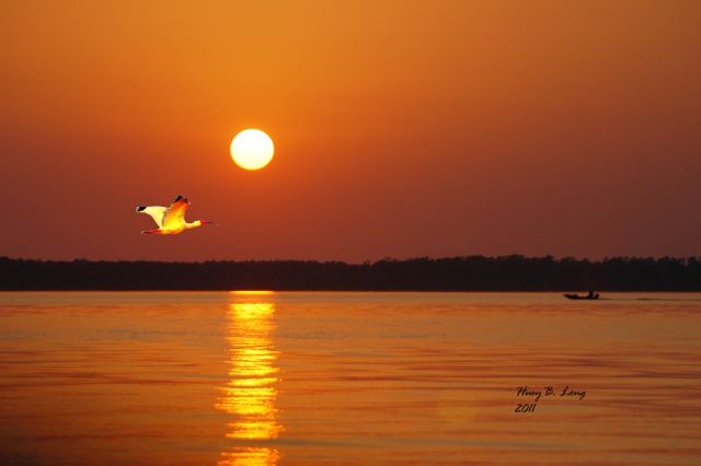 122 - PWBIbisatsunset1D(4-16-11)