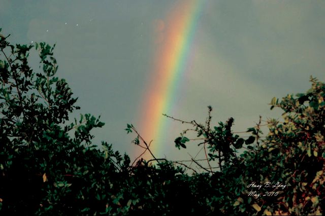 132 - PtextRainbow covenant3BUpperlft