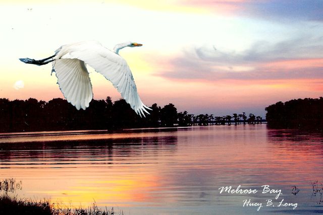 137a - RetPWsunsetsMelroseBayFWH12-13E(5 15-`10)