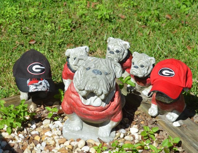 Bulldogs 10-12-15DSC_4586