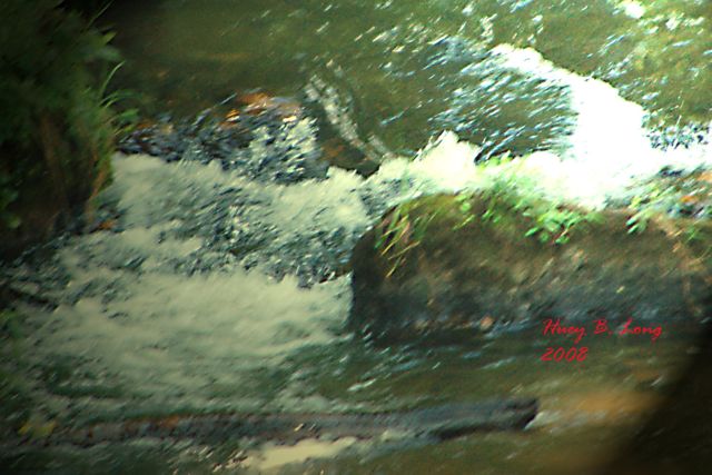 12 - B0002094