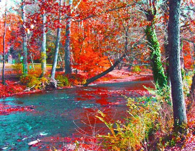 14 - PL Aumn River, Chat 100_0246