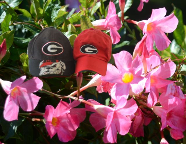 20 - TRProject UGA hats 10-28-15 DSC_4595