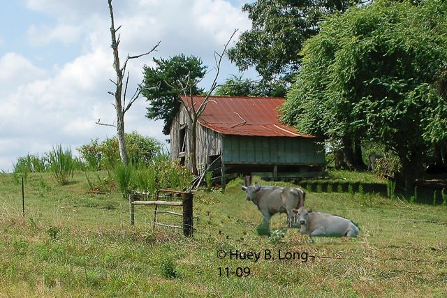 56 - PL Mountain Barn 11-09DSC_0853_0318