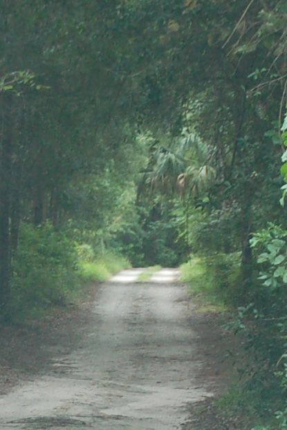 5 -PL dirtroad (8-23-13)dsc_5291_0474