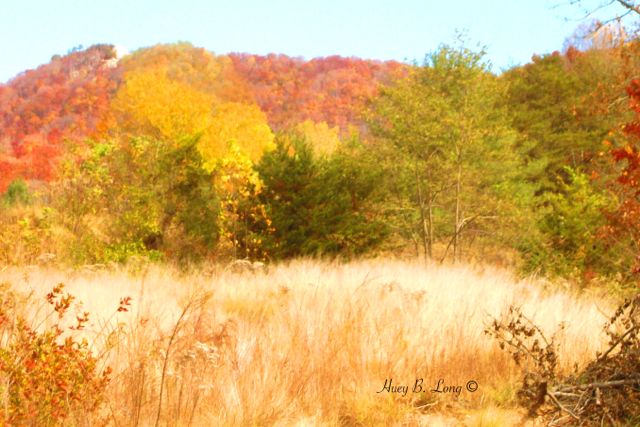 85 - PL Mountain meadow1 (1-4-14)100_0276