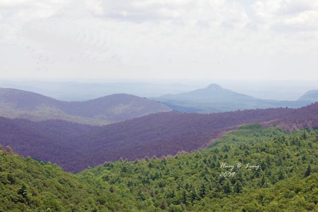 86 - PL Mountian viewHelenarea2(11-20-12)